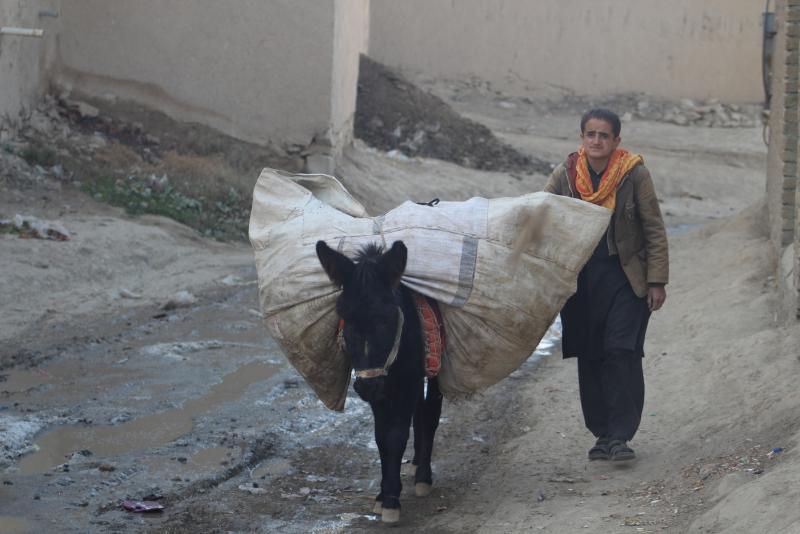 Afgan mülteci kampında hayat (5).JPG